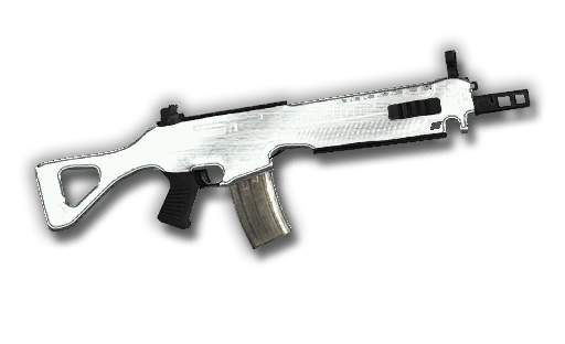 SIG SAUER 556 CHROME